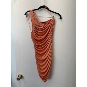 Lioness Dress Size Medium